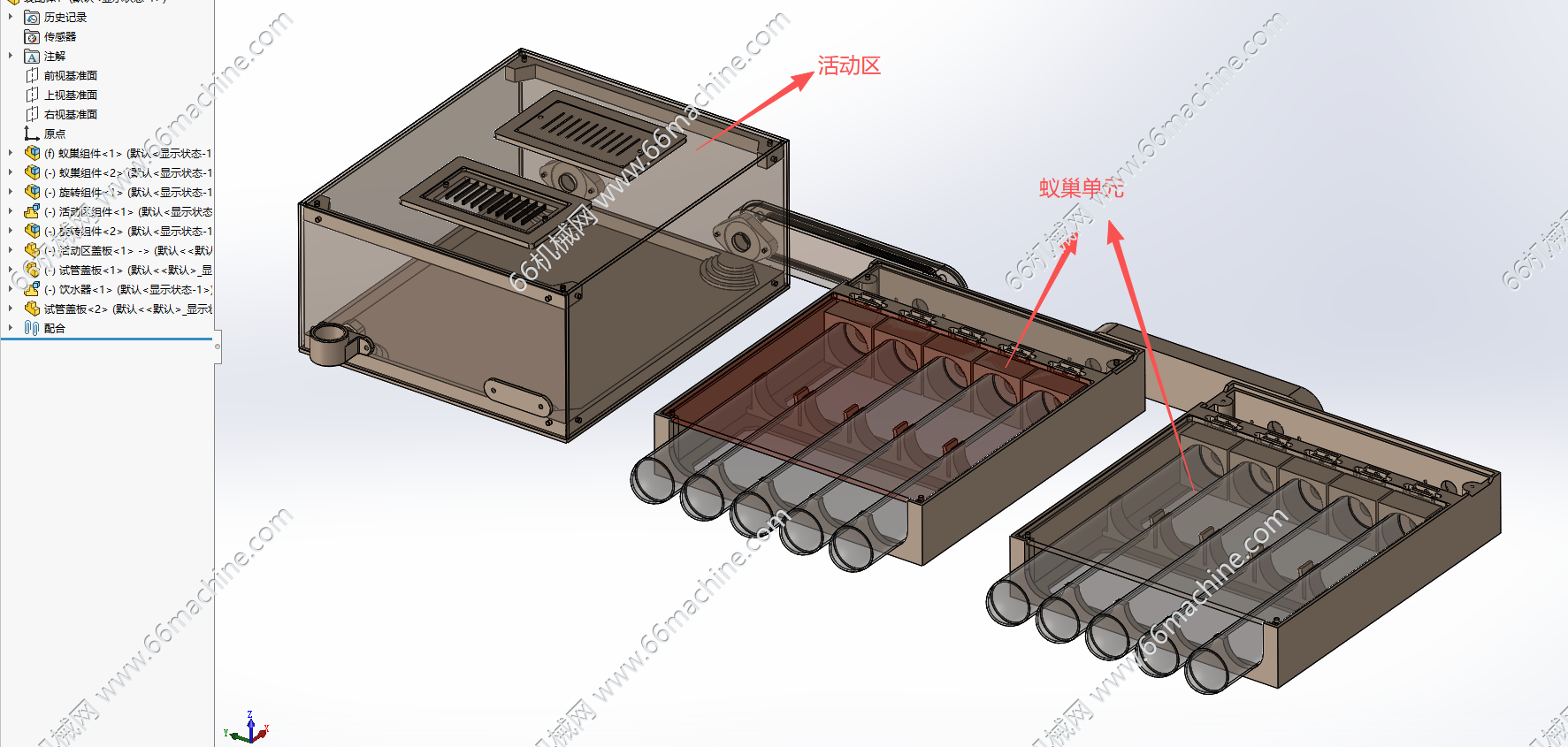 蚁巢（蚂蚁窝、复合巢）